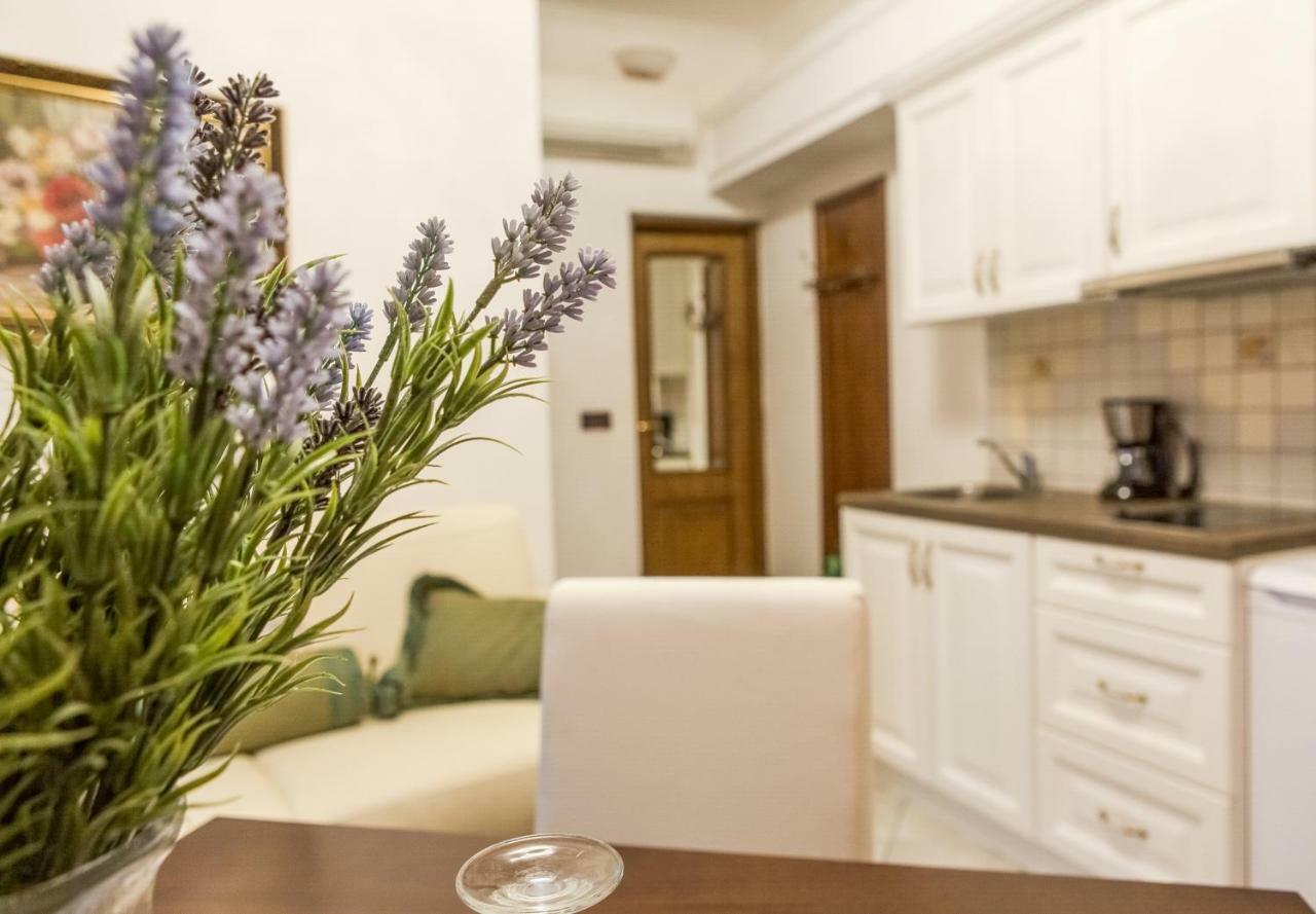 Villa Hasi Poreč Exteriér fotografie
